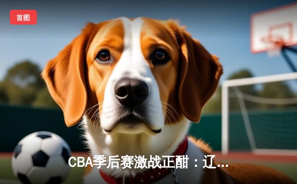 CBA季后赛激战正酣：辽宁本钢加时险胜广东宏远，赵继伟砍下33分率队夺赛点